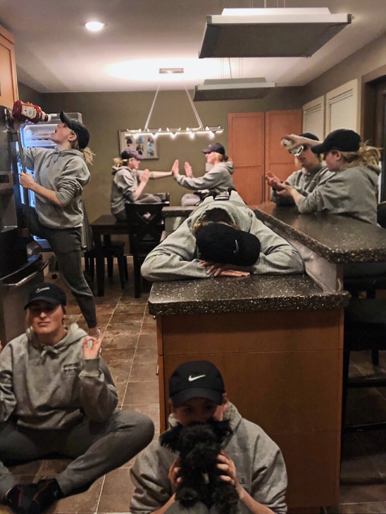 Six stages of quarantine with the sis