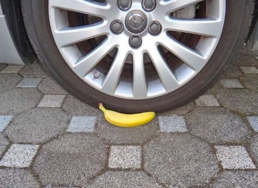 IT&Elliot Ⓥ🌱📯🇺🇦 tweet media