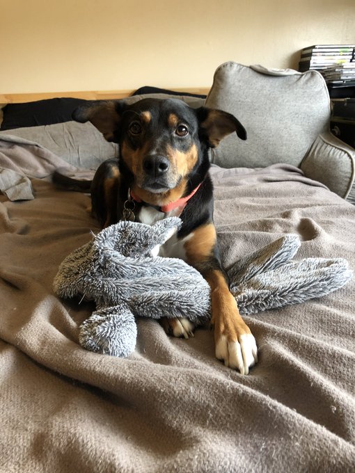 @babysid69 https://t.co/pxb2Tr4vMl<a class="tags" target="_blank" title="On Twitter" href="/?out=eyJ0eXAiOiJKV1QiLCJhbGciOiJIUzUxMiJ9.eyJpYXQiOjE3MjQzMTExMjUsImlzcyI6InR3cG9ybnN0YXJzLmNvbSIsIm5iZiI6MTcyNDMxMTEyNSwiZXhwIjoxNzU1ODQ3MTI1LCJyZWRpcmVjdF91cmwiOiJodHRwczovL3R3aXR0ZXIuY29tL2JhYnlzaWQ2OSJ9.8un95ydCAd5eNa3cRXKqK0pP4Shdg-ioOLQXgZoddP3T5huMJXR_vpRyk4u_Mb_8uGEa5fHfJ9YEyEh-0AMpkg">@babysid69</a>