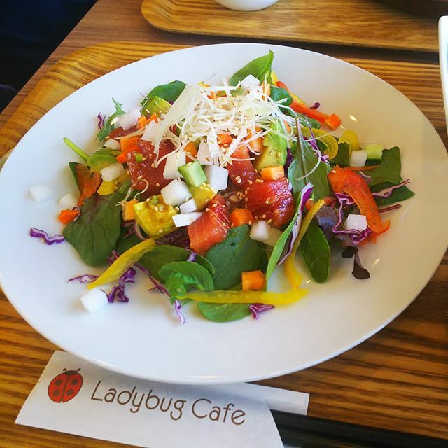 gucci1212jp's tweet photo. ランチは渋川のLadybugCafeで。マグロとアボカドのサラダライス。 #ladybugcafe #マグロ #アボカド https://t.co/pGOOldEOQh https://t.co/Vd6uEc3UJ1