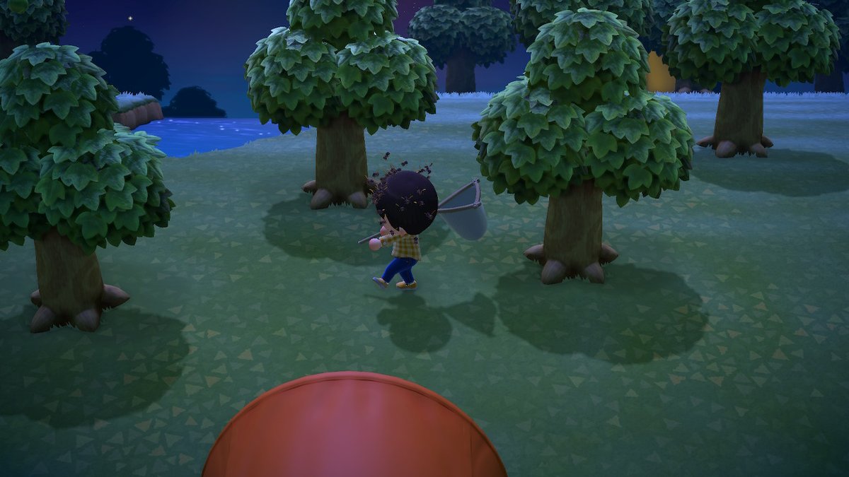 mettums's tweet photo. So this is going well #AnimalCrossing #ACNH #NintendoSwitch https://t.co/ZcvLojpZWo