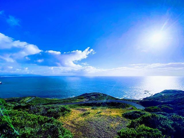 Julio Escarce tweet media