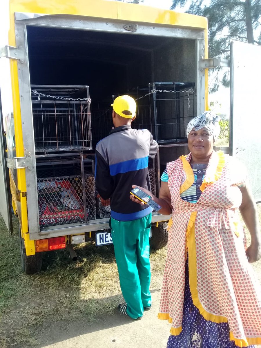 kuloola's tweet photo. Hi @Stellarated @OfficialSASSA @GCISMedia @The_DSD  We deliver groceries to rural households. Customers, especially grant recipients use their sassa cards to pay.Any where we can collaborate to limits elderly traveling and reduce risk of COVID-19 infection? https://t.co/uidcgz5GVD