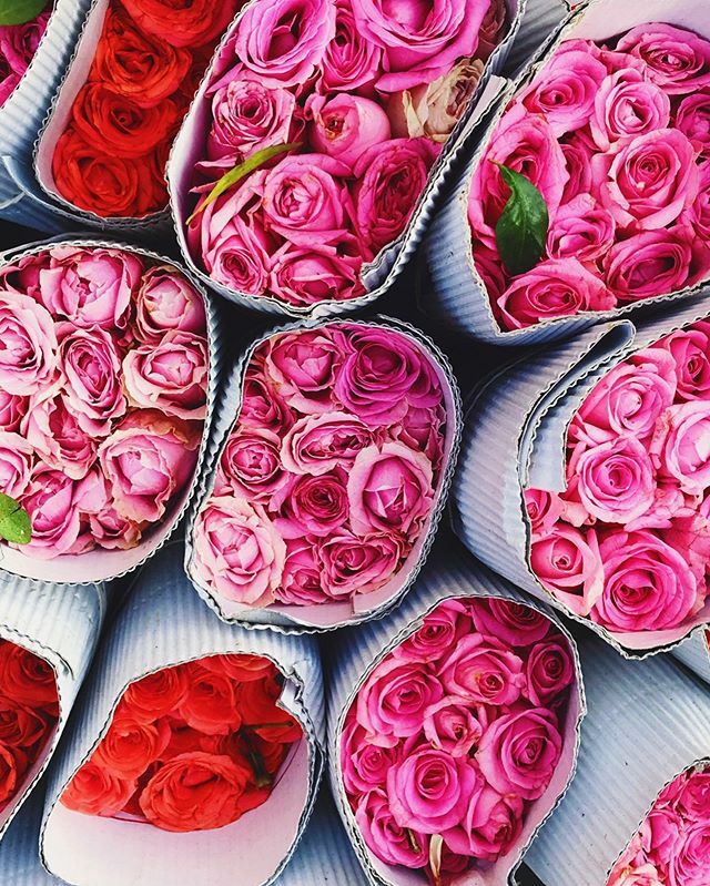 ilovespicemama's tweet photo. Finding beauty and solace in my camera roll. Happy Friday 💕

#spicemama #bombaydreaming #bombay #flowers #dadarflowermarket  #pink #flowers #flowerofinstagram #beautywillsavetheworld https://t.co/psKskSRZJA https://t.co/B1tf2wrAH0