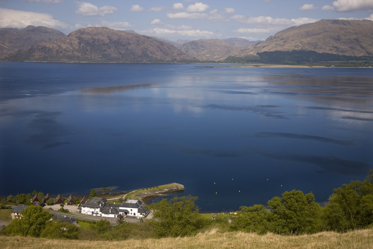 hollytreehotel's tweet photo. Hotel, lodges, restaurant and swimming pool open as usual today.

Those of you know our restaurant are aware that it is very large and social distancing is not a problem but we have also removed some tables to make it even better. Food and drinks served all day till 9.30pm. https://t.co/GKZy8dejc8