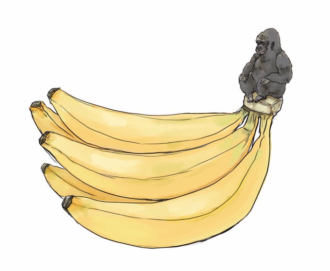 「動物 バナナ」のTwitter画像/イラスト(古い順)
