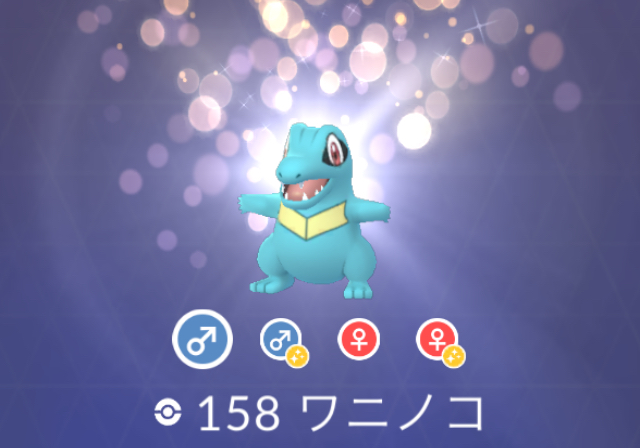 ともちゃん 今朝のポケモンgo ワニノコがいっぱい出現していた ワニさんの追悼 Twitter ともちゃん 今朝のポケモンgo ワニノコがいっぱい出現していた ワニさんの追悼 Twitter