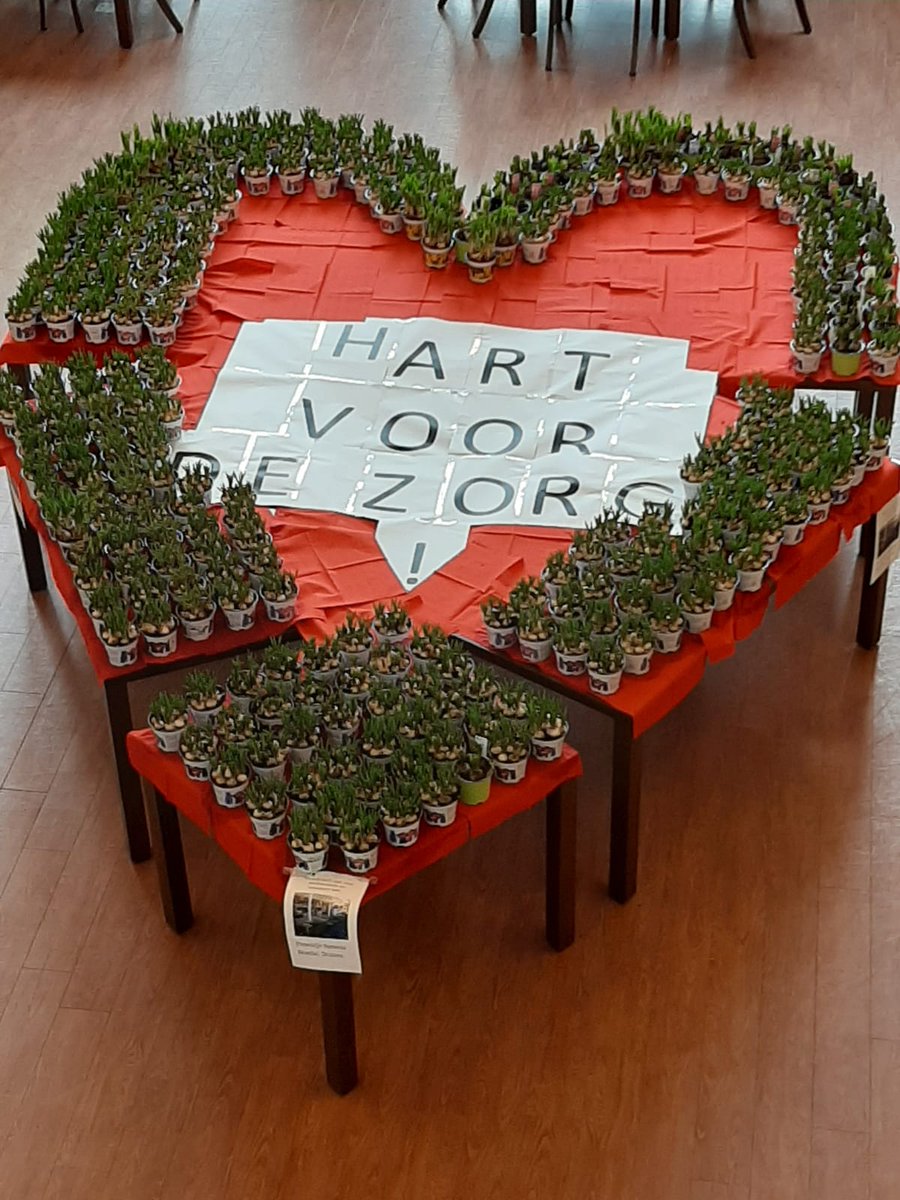 Mooi gebaar van <a href="/NicotheDrunen/">Nicothe Drunen</a> 500 plantjes voor bewoners en medewerkers van <a href="/Schakelring/">Schakelring</a> locaties Zandley, Sint Janshof en Sint Antonius.