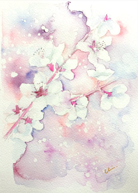 イラスト「桜花爛漫」