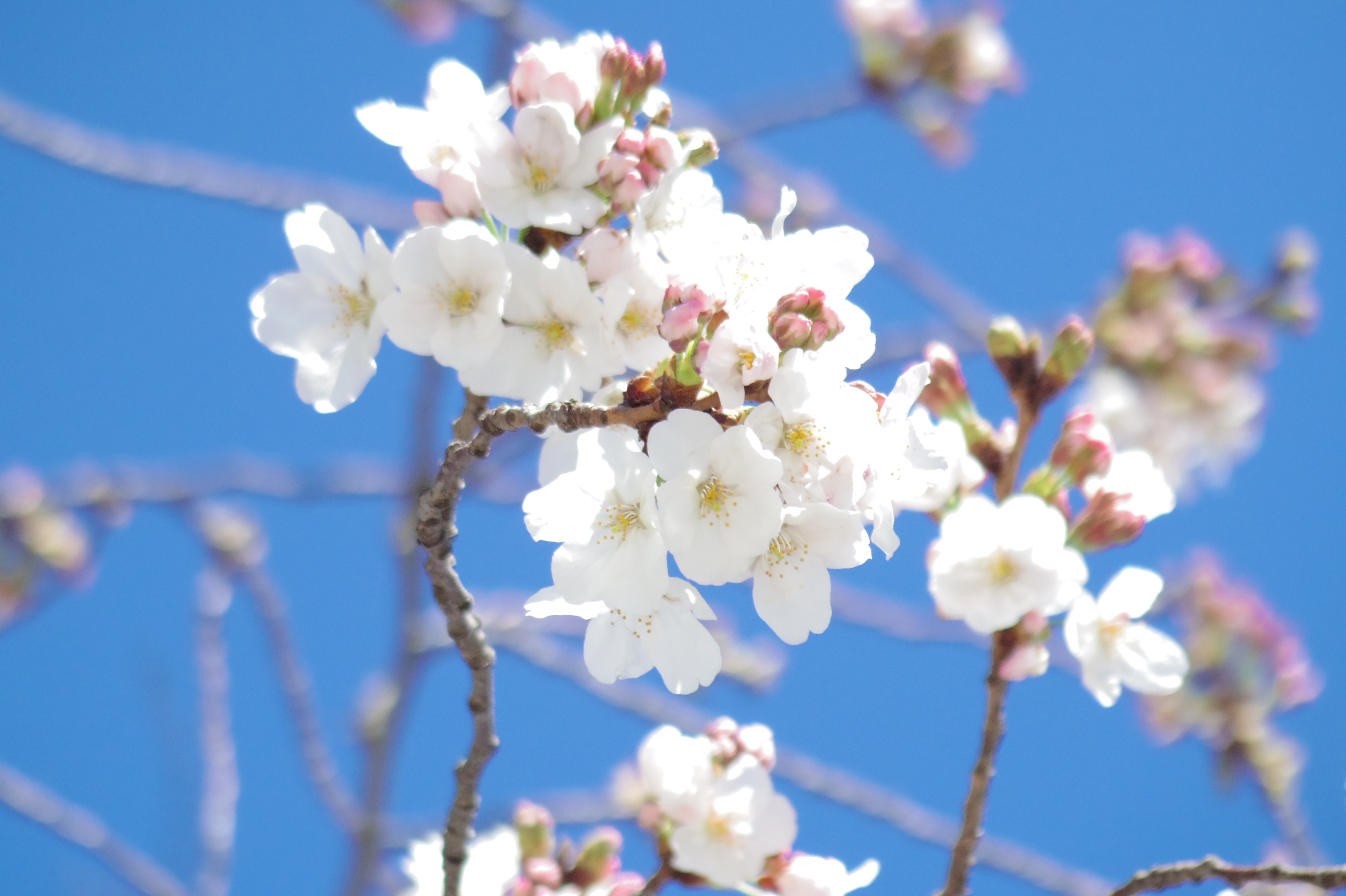 外濠公園 Twitter Search Twitter
