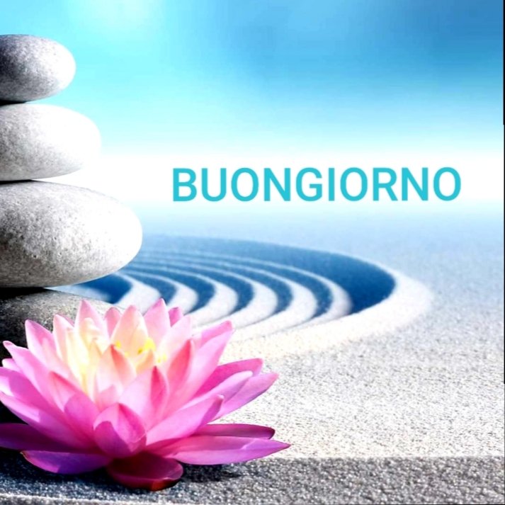 Antonio Quaranta (@antonioquaran18) on Twitter photo 