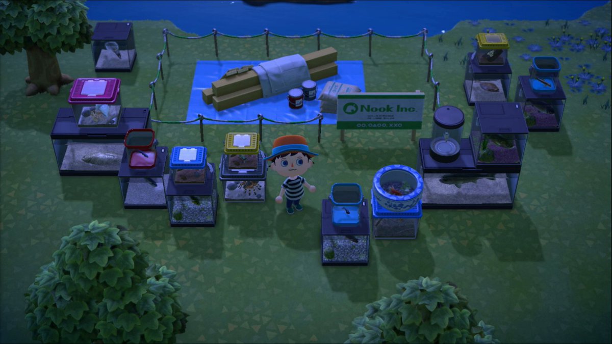 MadcapWarrior's tweet photo. Ok, Blathers... I'm ready for you now!

What do you think his first thoughts will be when he arrives to set up his tent?#AnimalCrossingNewHorizons https://t.co/C2ODf43UKh