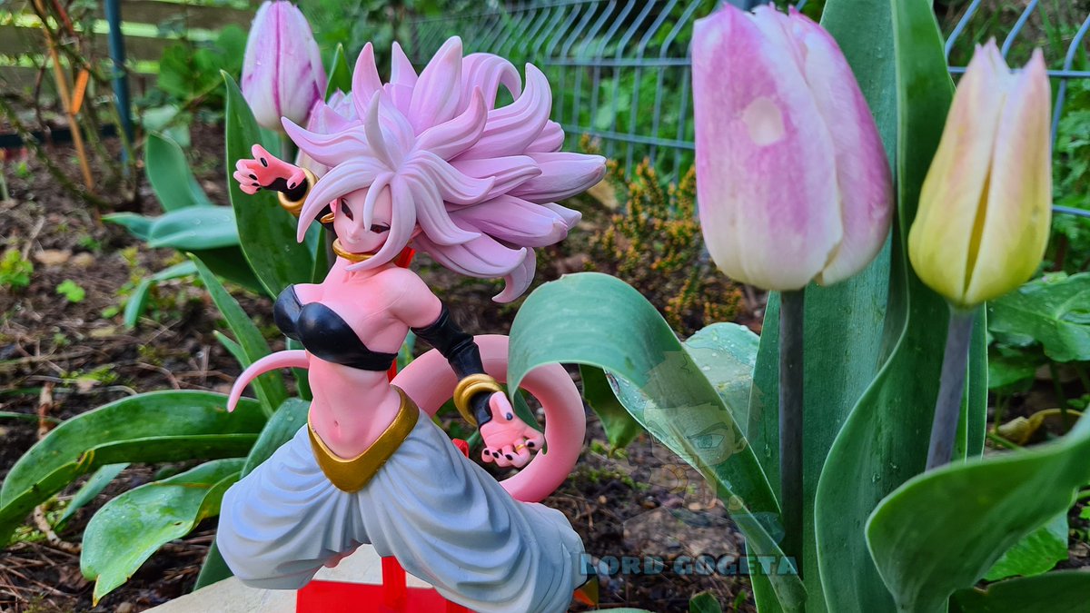 gogeta_lord's tweet photo. 🇫🇷 c'est le printemps
🇺🇲 it's spting
Utip : lordgogeta
Facebook : LordGogeta1
YouTube : lord gogeta
Instagram :lordgogeta49
#dragonball #dbfigure #printemps #DragonBallSuper #dragonballz #dbz #c21 #spring #dbzcollections #flowers #passion #DragonBallFighterZ #girl #LordGogeta https://t.co/dJA7tm9OtH