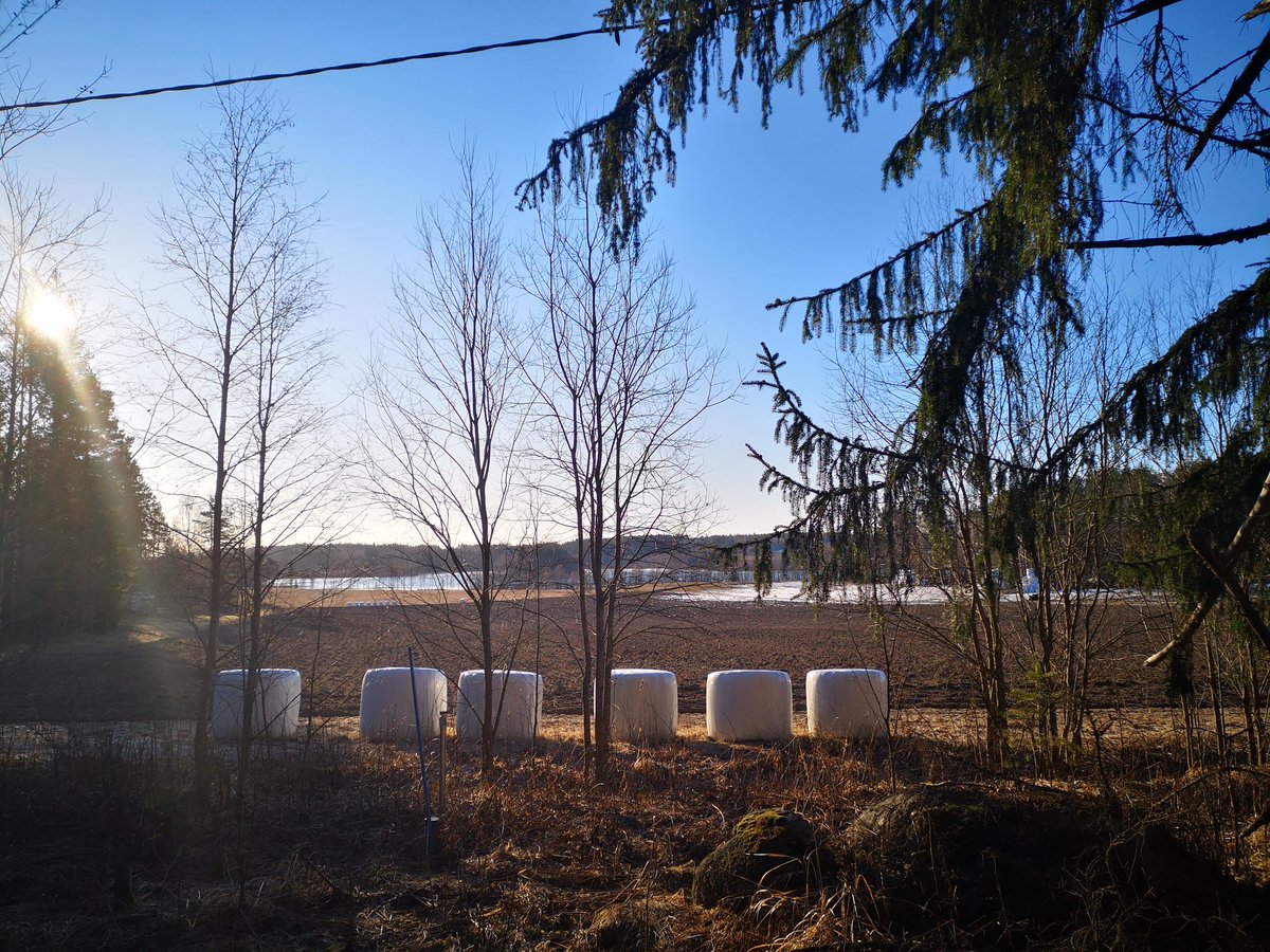 Antti Alanko (@antti_alanko) on Twitter photo Day 6/7 #mylifeinpictures
Rules: No people, no words. Challenge a new person each day.
I was challenged by <a href="/mervi_ahola/">Mervi Ahola</a>. I challenge <a href="/jyrkikil/">Jyrki Kilpikari</a> Day 6/7 #mylifeinpictures
Rules: No people, no words. Challenge a new person each day.
I was challenged by <a href="/mervi_ahola/">Mervi Ahola</a>. I challenge <a href="/jyrkikil/">Jyrki Kilpikari</a>