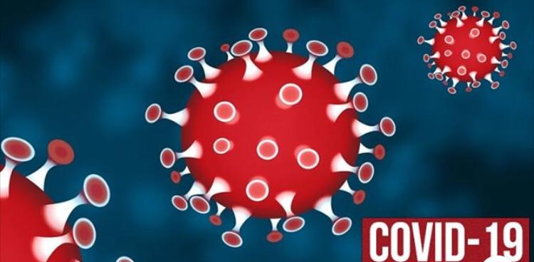 ZJudicials's tweet photo. The peculiar official name was given to the Coronavirus disease— COVID-19 stems from a lot of thought and deliberation made in light of the 2015 World Health Organization.

Read more at https://t.co/flBPB7gWAf
#covid19 #coronovirus #ziajudicials #zjlrc #coronavirusindia https://t.co/r41asulFWP