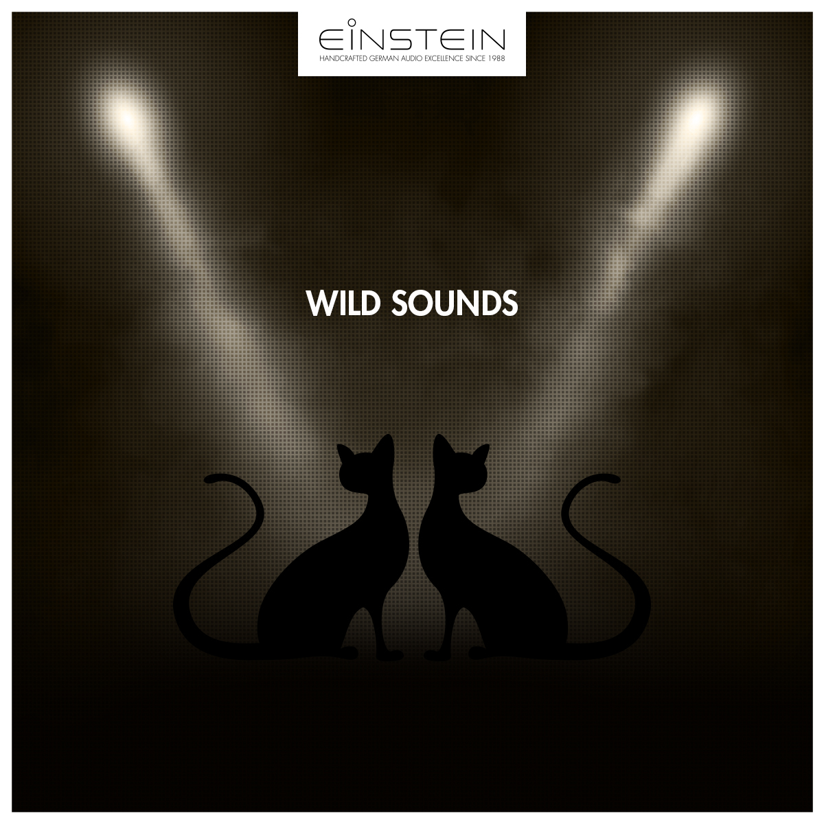 EinsteinAudio's tweet image. Did you know that there is a piece of music that consists exclusively of the word “meow”? Duetto buffo di due gatti (Italian for „humorous duet for two cats“) is a popular piece of music for two voices, which often appears as an encore at concerts.