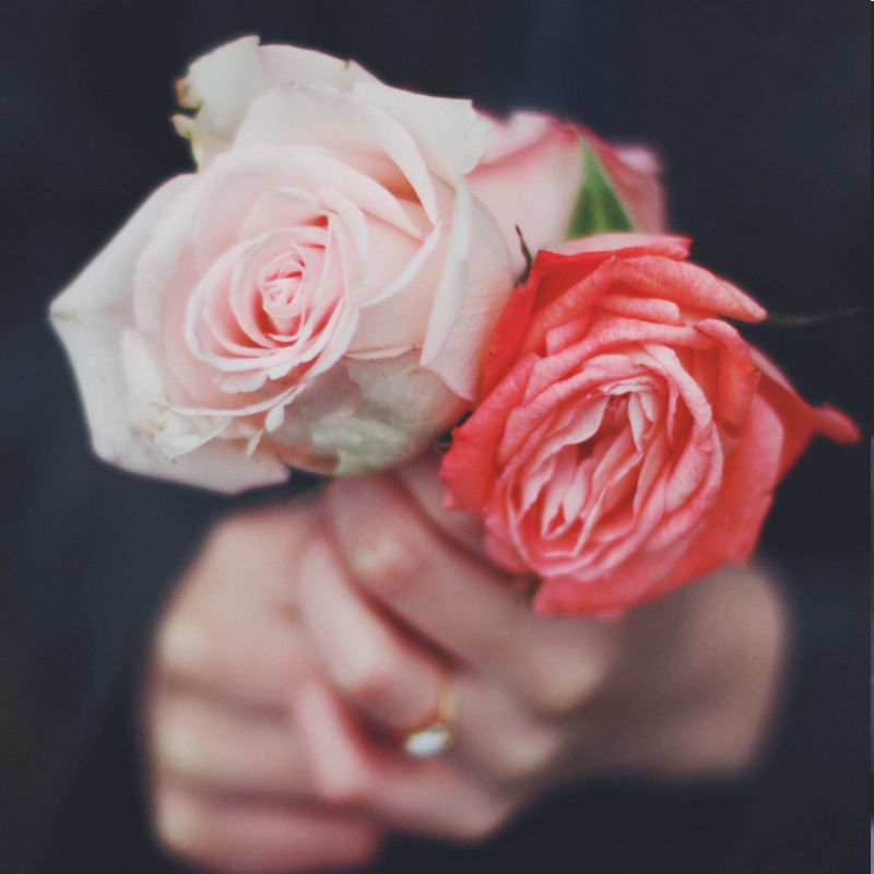 In these times of uncertainty, our roses are blooming more beautifully than ever. We invite you to find solace and beauty in our gardens - whilst we have implemented prudent sanitation practices. 
SAVE 20% on all roses ONLINE &amp; IN STORE this Saturday for our 49th Birthday :)