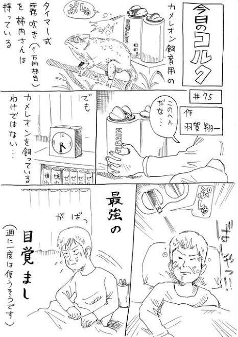 昔描いていた、『今日のコルク』というマンガを読んだことがない人へ

#ハト部 の編集者 柿内さんセレクションをぜひ見てもらえると、ハト部裏話もこれから楽しんでもらえるかと…

(しかしキャラがたってる) 