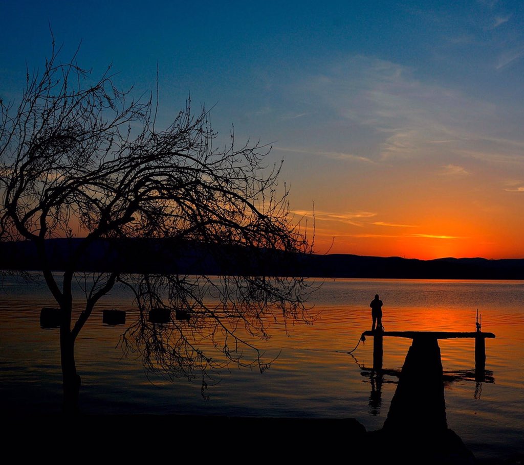 Ing_Bacho's tweet image. No se trata de ganarle a nadie, se trata de ver quien ayuda a quien para lograr todos la meta que se quiere lograr. ✍️