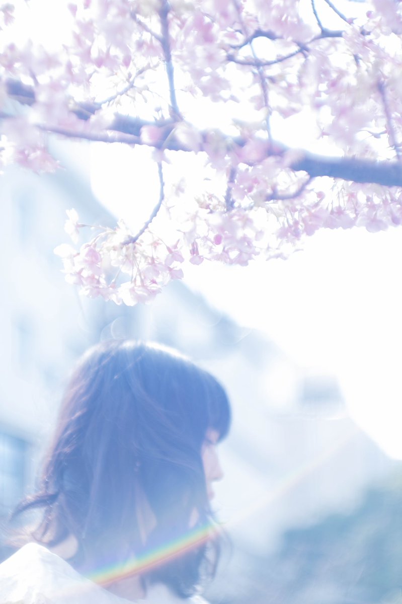 moichi2nd's tweet photo. しばらく県外遊びに行けないし、せめて早く桜咲かないかなぁ
写真撮りて〜！ https://t.co/fT01YQhZVg