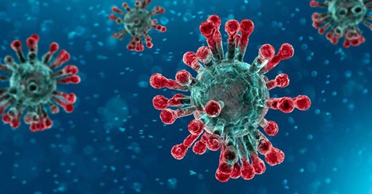 Leggere qui per fare chiarezza sull'origine del virus bit.ly/2WAXZ22 <a href="/centriculturali/">Centri culturali</a> <a href="/Euresis_IT/">Associazione Euresis</a>