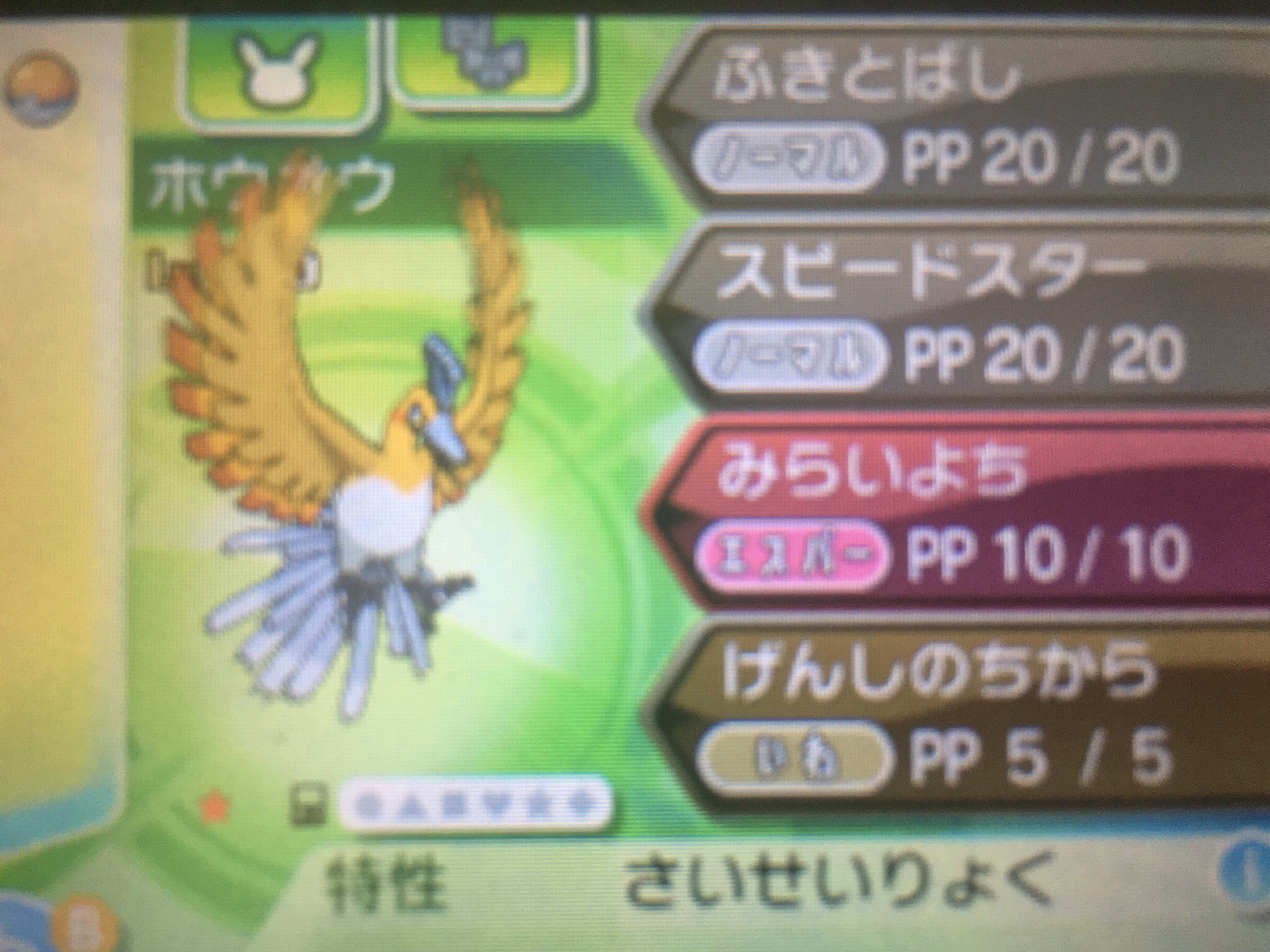 レアポケモン配布中ジグザグマ ジョウト地方伝説2体 通常特性 色ホウオウpcトウホク 夢ルギアフウラシティ または 両方野生産色夢 色夢特性は Vc版で色違いを捕まえて ポケモンバンクに送ると 夢特性になる なかなかレア T Co 9khniy8vau