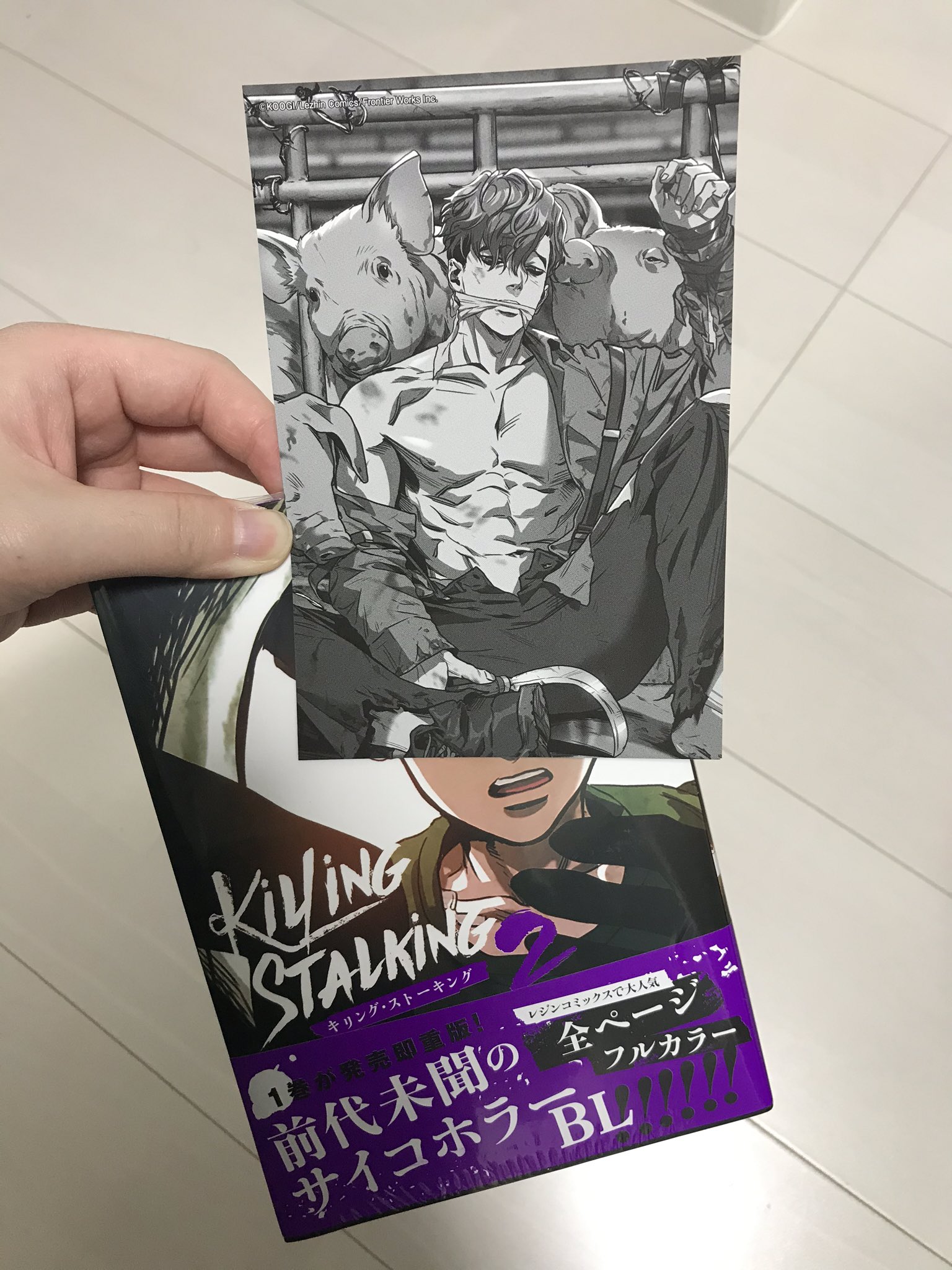 Killing Stalking, Vol. 2