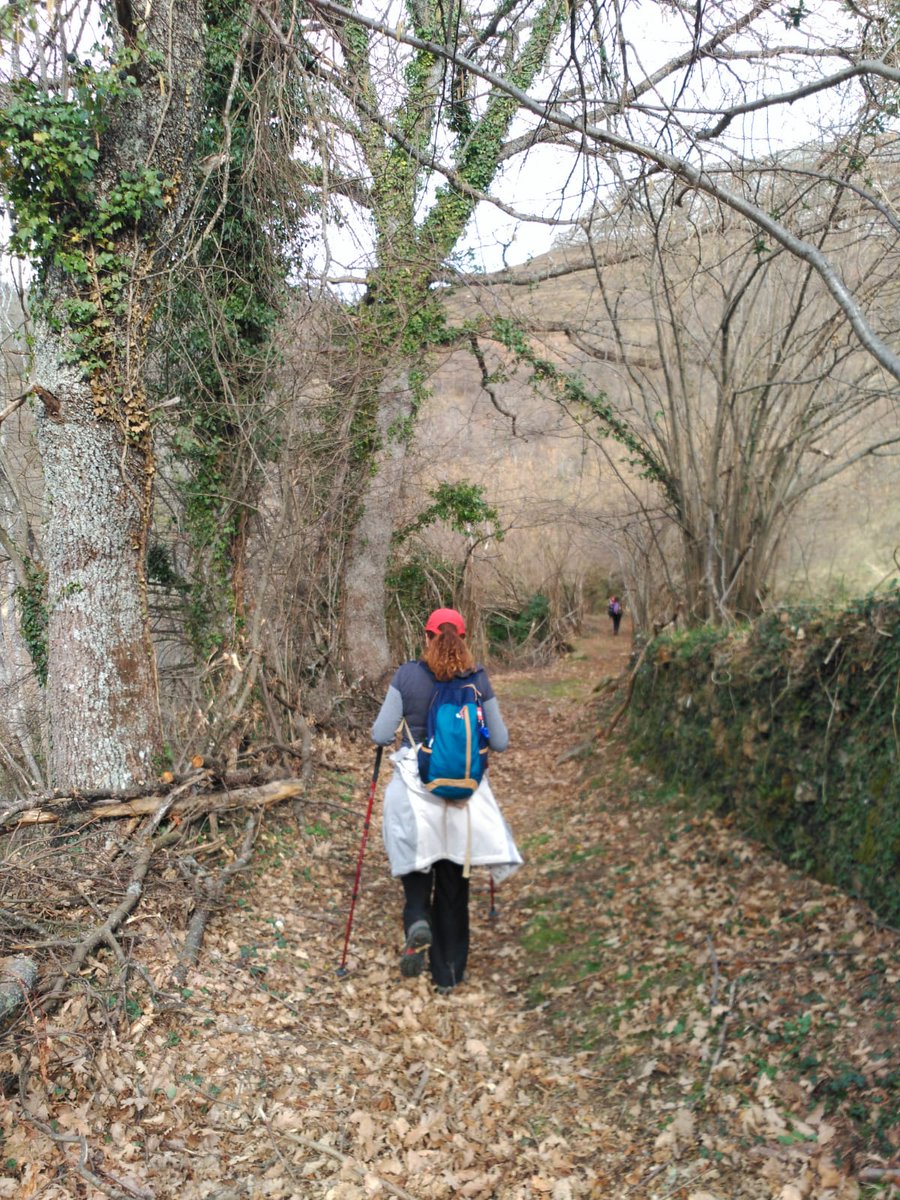 Amparo Fernandez tweet media