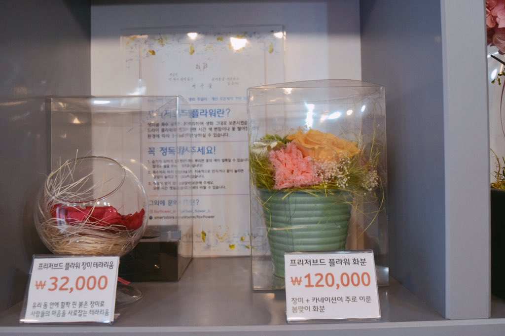 Fox_flower_b's tweet photo. 🌸 편집샵 홍데일리에 오늘부터 약 2주간 물건이 입점되어 있습니다. 😌 모두 프리저브드 플라워 작품만 넣어놔서 악세사리는 아쉽게도 없습니다. 작품 구경하러 오세요~ 😊 https://t.co/eOaiYI0IMF