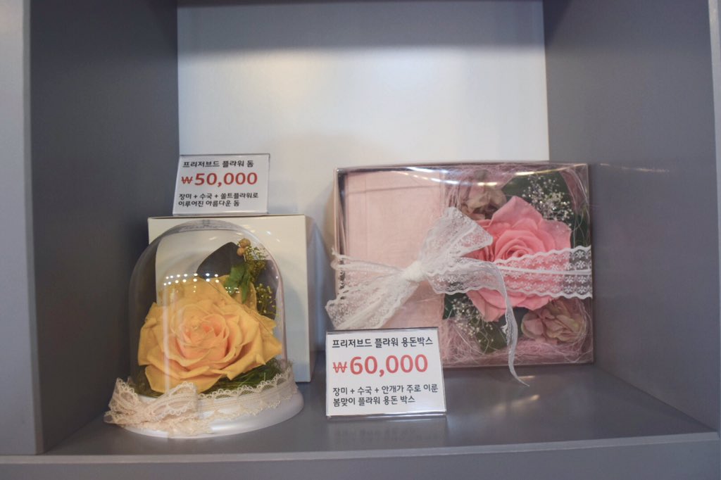 Fox_flower_b's tweet photo. 🌸 편집샵 홍데일리에 오늘부터 약 2주간 물건이 입점되어 있습니다. 😌 모두 프리저브드 플라워 작품만 넣어놔서 악세사리는 아쉽게도 없습니다. 작품 구경하러 오세요~ 😊 https://t.co/eOaiYI0IMF