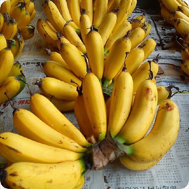 توییتر Ruhaimi در توییتر Pisang Udang Pisang Raja Udang Warna Merah Bila Muda Warna Perang Bila Masak Lowkey Sedap Cuma Orang Jadi Peghak Buih Sbb Warna Merah Orang Cina India Cukup