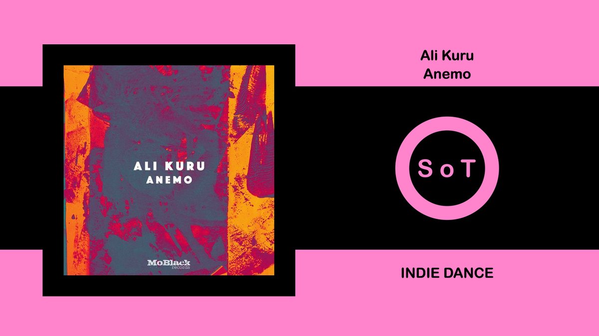 SoundsOfToma tweet media