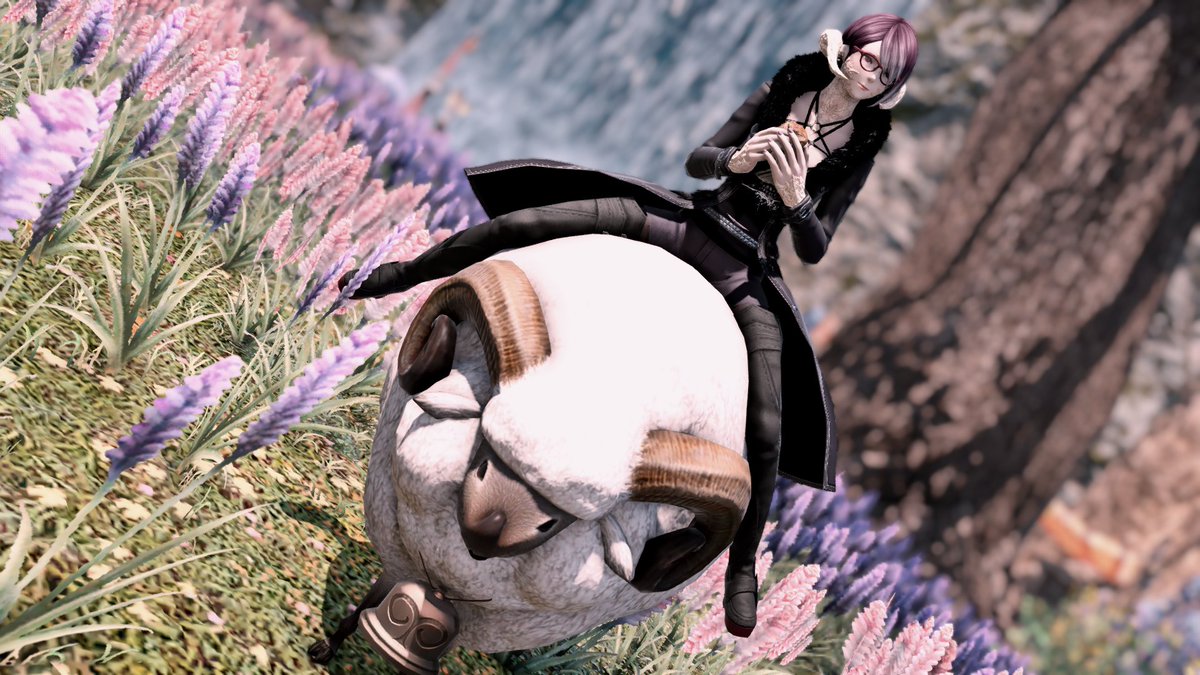 Lucinaffxiv's tweet photo. Can we please talk about @SCerridwen 
She is the cutest Waife of all time ; _ ; 
(fyi the text means im a hero cause i work in the hospital at time like this)  shes SO cute ; _ ; 
I dont deserve her 

 #GPOSERS #ffxivsnaps  #fatcatffxiv #aura #auragirl #auralife https://t.co/nLUQZ32vX1