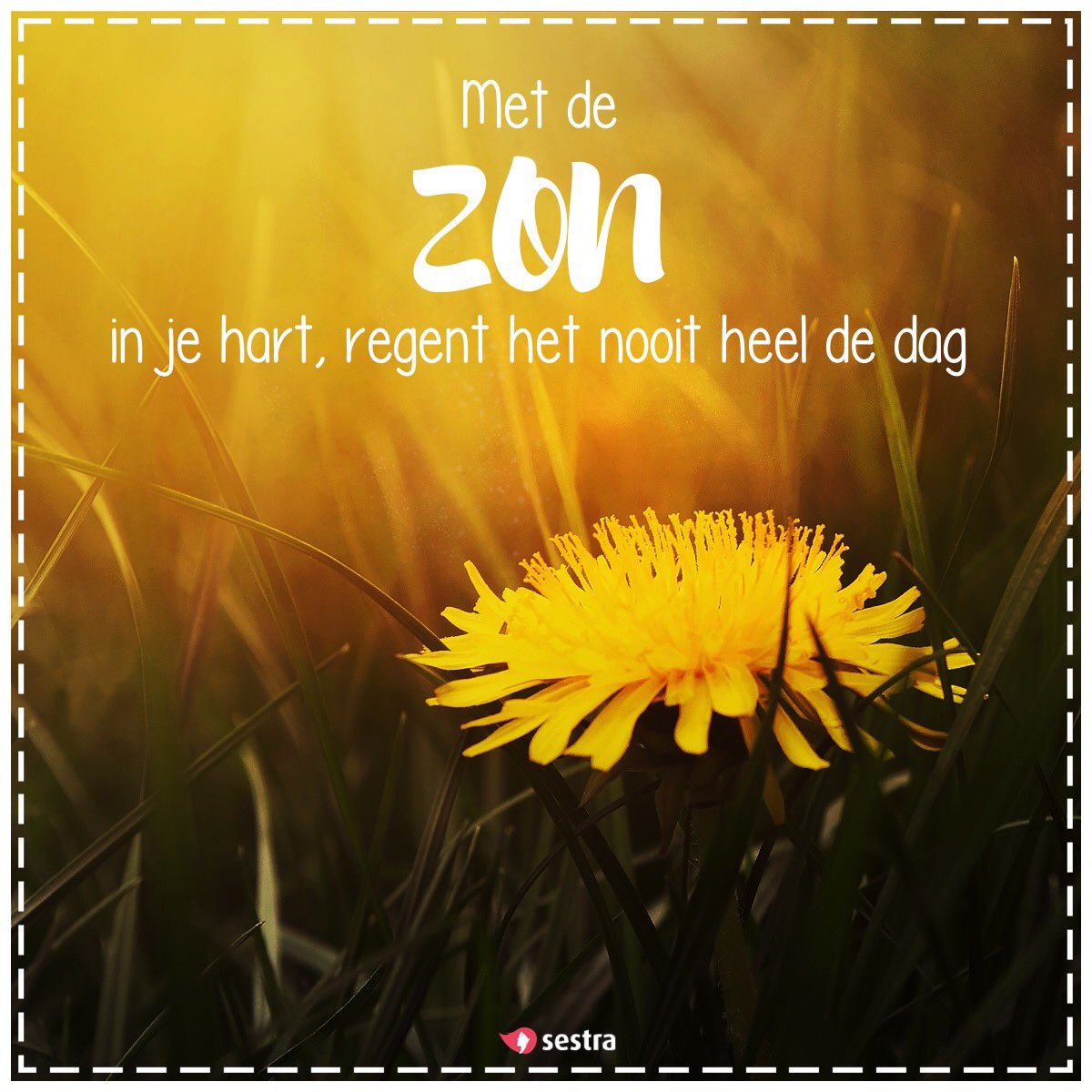 Masjiach's tweet photo. De lente is begonnen 🌷🌺🌼 https://t.co/DnofxLb6Cz