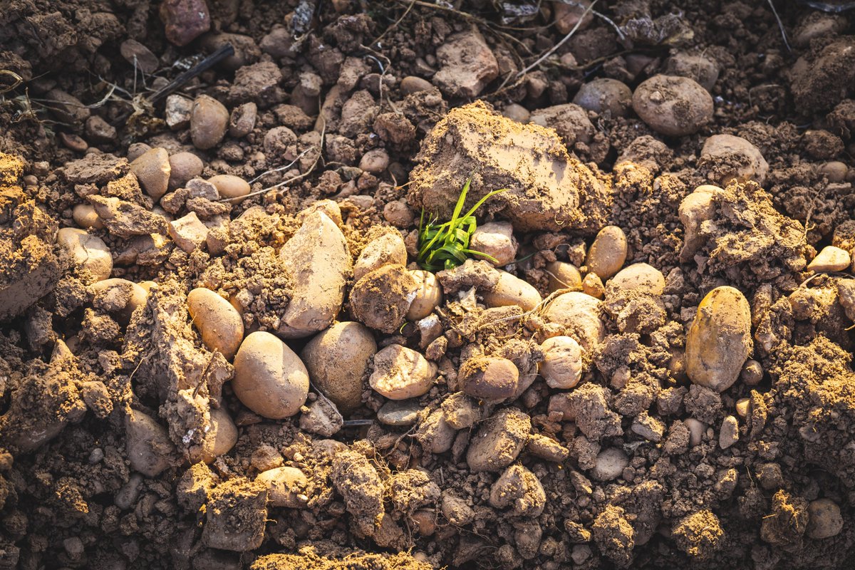 "La nature s'éveille" aujourd'hui c'est le printemps !
Vous avez des projets en création de contenu qui germent ?! Prenons le temps d'en parler et faisons les grandir ensemble !

#videaste #productionvideo #film #documentaire #video #projetvideo #contenu