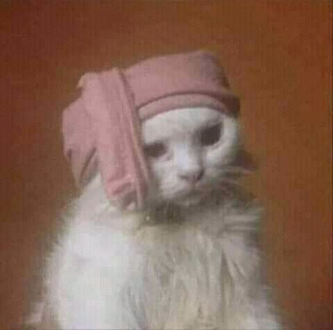 MustafaMElkhat2's tweet photo. #الغاء_الترم_التاني_للجامعات https://t.co/m8LptuCN9a