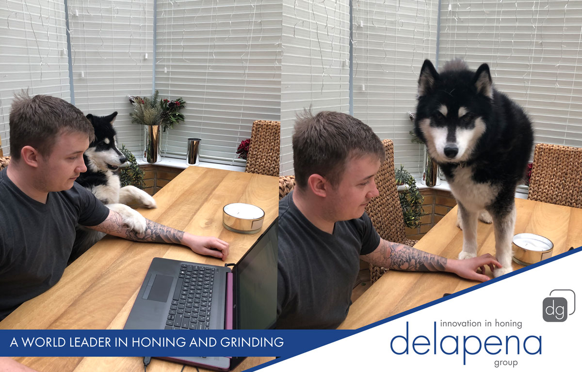 DelapenaUK's tweet photo. Your boss buys you a laptop to work from home, honestly no distractions!! 

Okay, maybe one!!

#delapena   #petsatwork   #WorkFromHome  #delapenasupportingworkingfromhome https://t.co/usEEZukPAB
