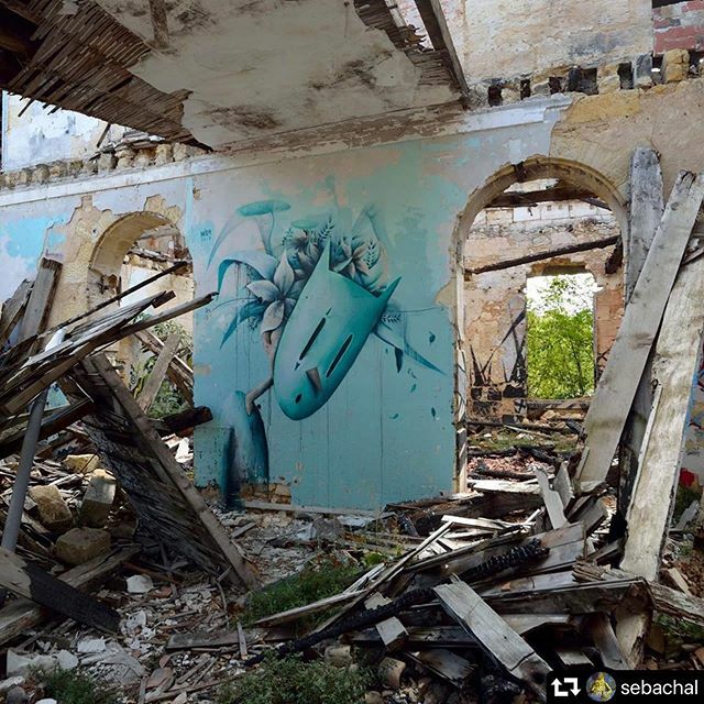 StrArtSelector's tweet photo. #latergram #dutempspendantleconfinement by @mika_husser 👏🏽👏🏽 https://t.co/MIH0hU3Hj7 https://t.co/f2iBj0B0Na