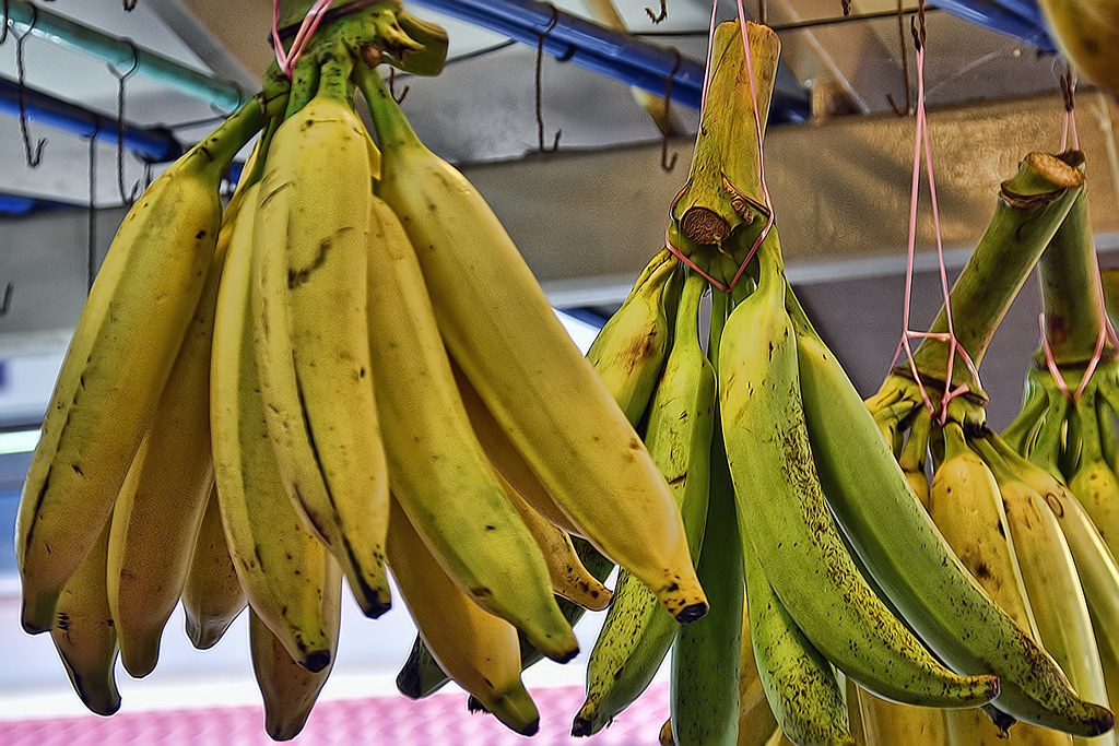 Ruhaimi On Twitter Pisang Awak Pisang Ni Sesuai Buat Goreng Ja Rata2 Hangpa Beli Goreng Pisang Pakai Pisang Awak La Ada Dua Jenis Awak Kampung Penuh Biji Awak Legor Yg Standard Tak