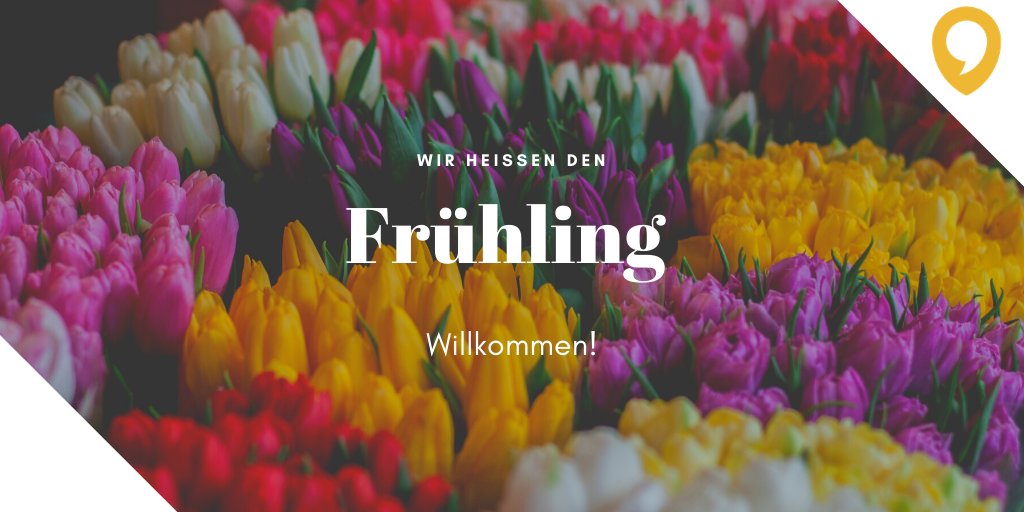 🌷#Frühling läßt sein blaues Band
Wieder flattern durch die Lüfte; ...
🌷
Na, wer von euch weiß, wie's weiter geht? 🙃🤓 #Lyrik #Frühlingsanfang