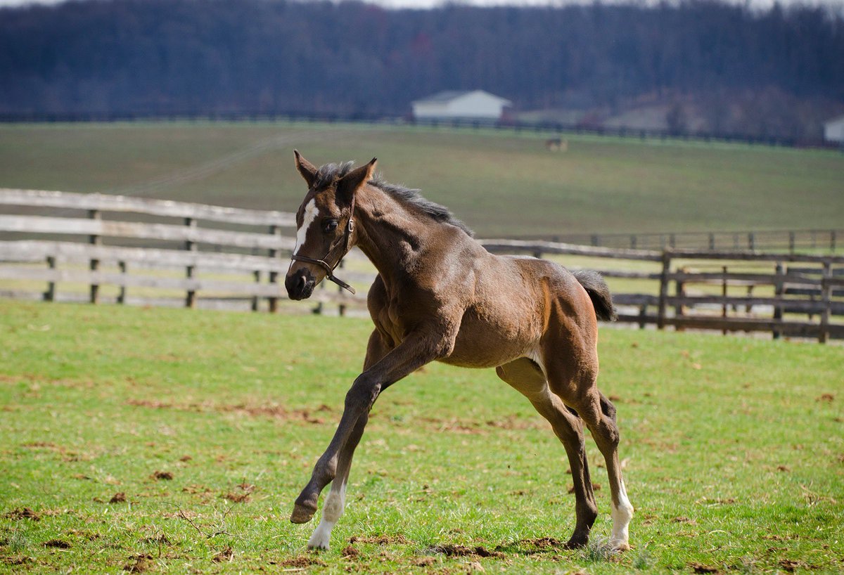 We made it! Happy first day of Spring! In the Northern Hemisphere today is Vernal Equinox, which is recognised as the very first day of Spring. Although there doesn't feel like much to celebrate at the moment, this is definitely something to celebrate! #spring