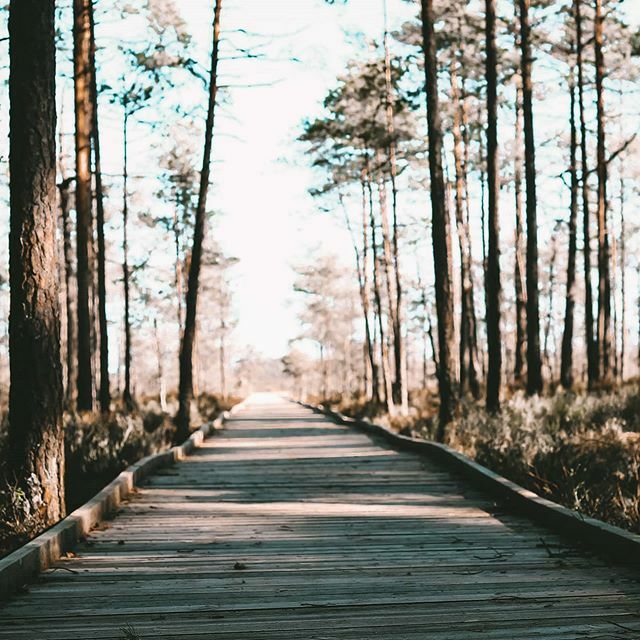 Promenader och serier har blivit våran standard, ingen utav oss har jobb nu i dessa tider.
--
#fuckcorona #dummemosse #beautiful #nature #naturephotography #photo #photooftoday #photograph #photography #love ift.tt/2QwTeTz