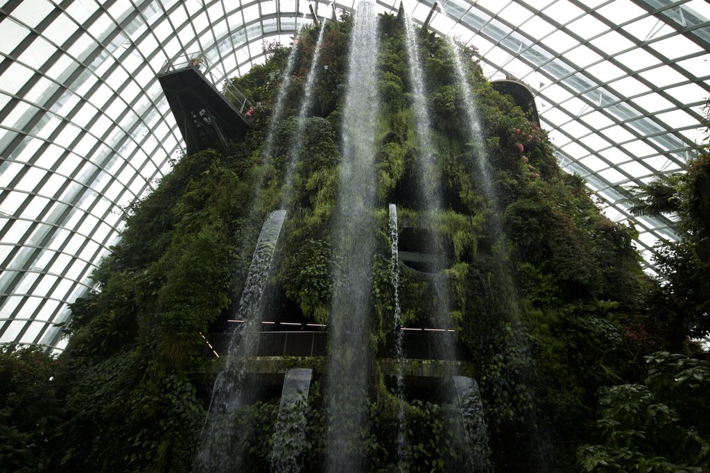 粥郎 巨大植物園のファンタジー感