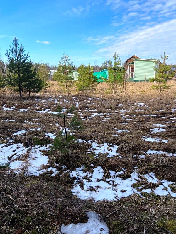 123vnkr4's tweet image. #Продажа_земельных_участков
Продам зем.участок (33:02:021120:310) 1015 кв. м в деревне Курбатово ДНП «Лесное» в 85км от МКАД.  Цена – 290 000.
Вадим: +7 900-582-63-94. 
#Купить_дом 
#Киржачская_недвижимость 
#Купить_участок 
#АН_Восток_Центр 
#ДНП_Лесное
vnkr.ru