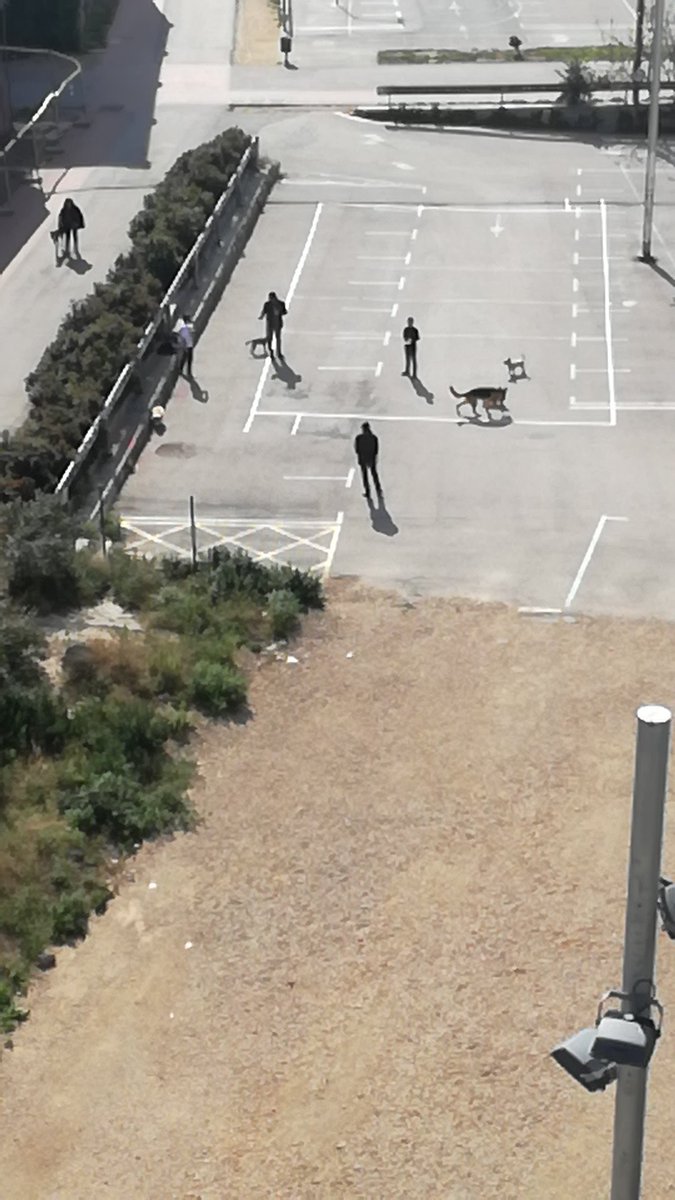 Jose Luis tweet media