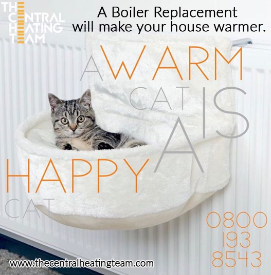 Need a boiler replacement? Let us make it easy for you. 
Contact us on- 08001938543
To know more visit us at- thecentralheatingteam.com 
#boilerreplacement #newboiler #10yearwarranty #Happypeople #financeavailable #boilerinstall #heating #boilerservices #househeating #warmhouse