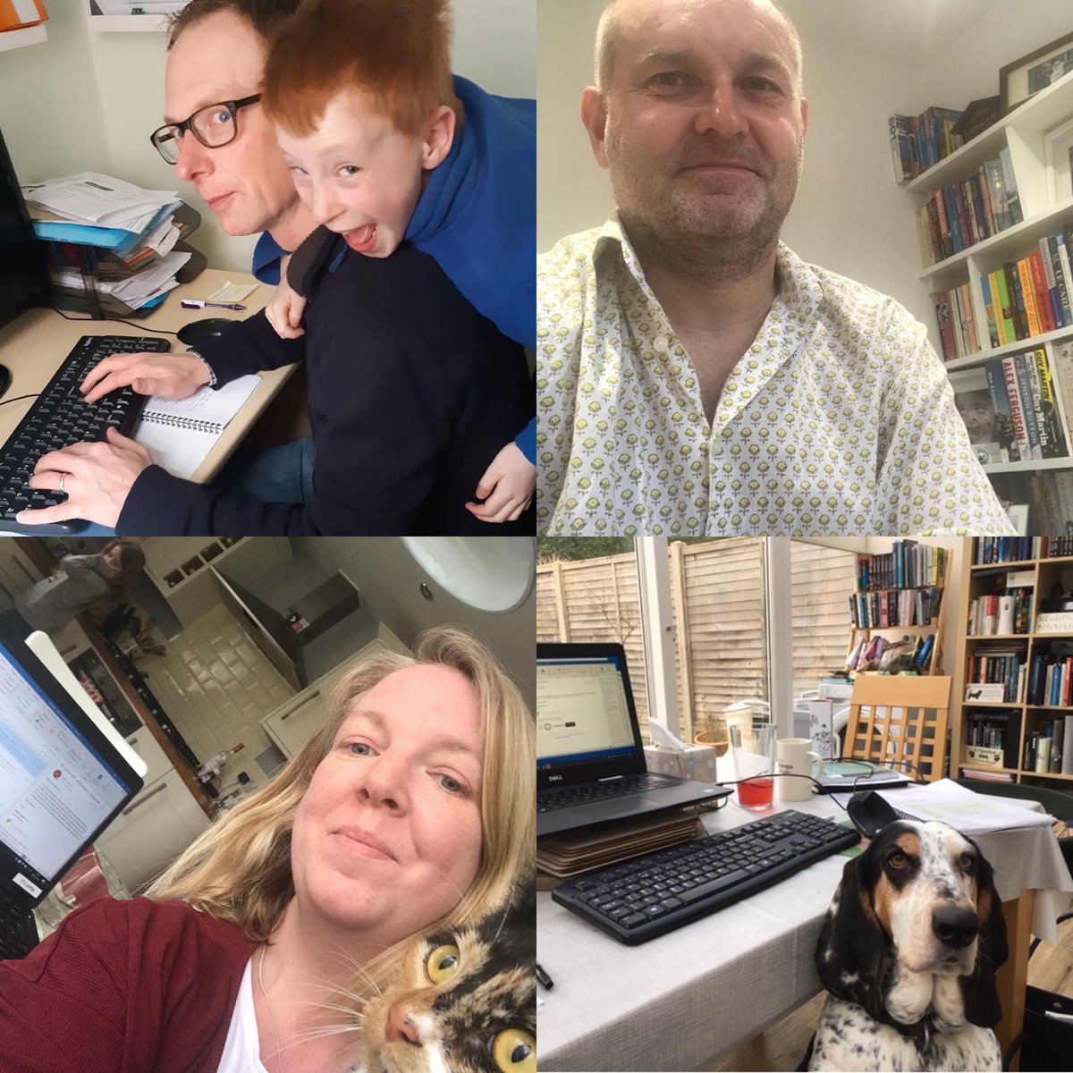 YutreeUW's tweet photo. We hope that you are all faring well in these unusual times. It's business as usual at Yutree. A small handful of hardworking people safely spread in the office &amp; all others in our newly formed satellite offices! Here they all are #WFH https://t.co/5qmprDTR2H