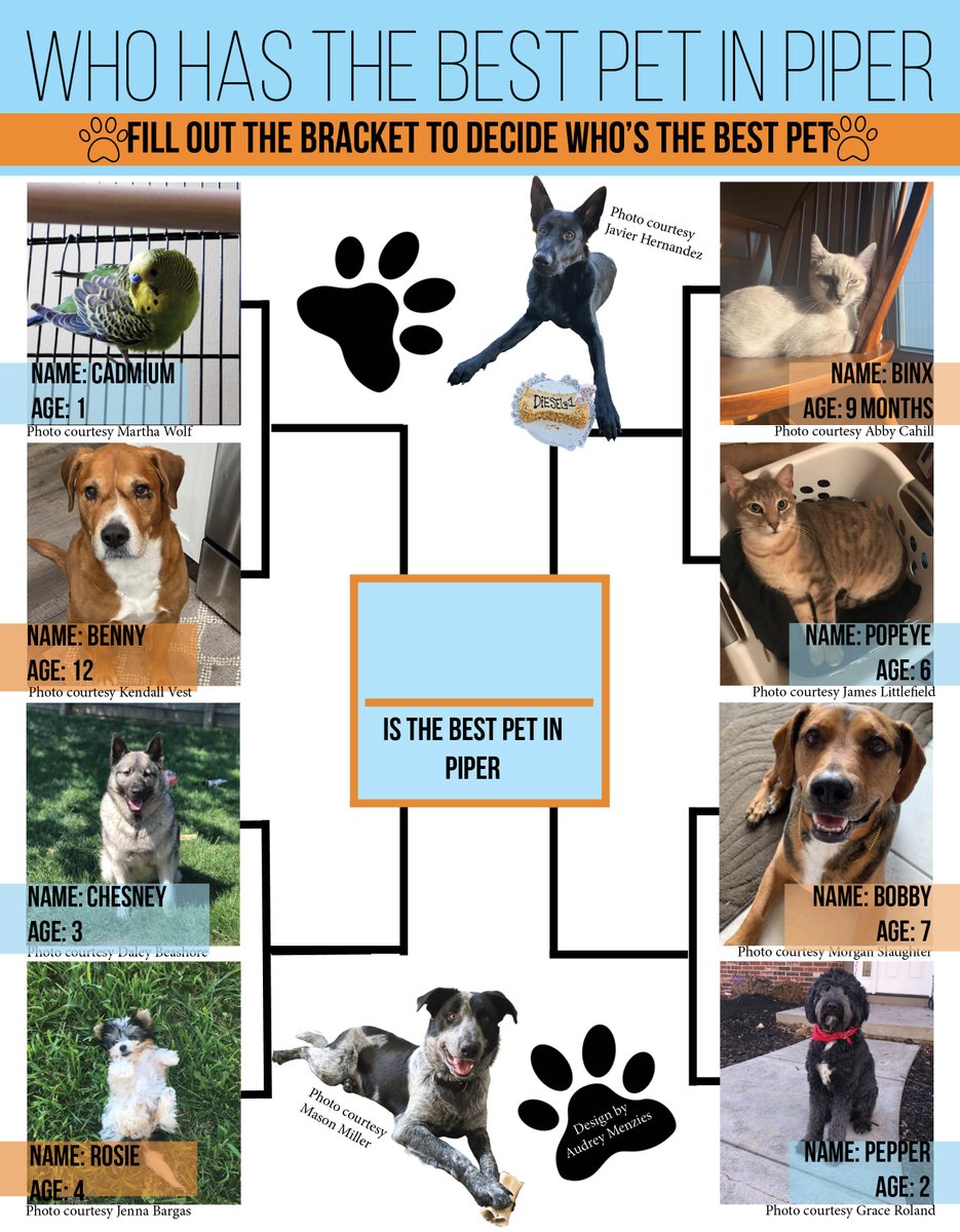 Since we didn't get the opportunity to print our last two issues of the newspaper, please check out kcpipernews.com for all the stories we worked on for the last month. In additional, save this bracket and fill it out to pick the winner of our pet march madness.