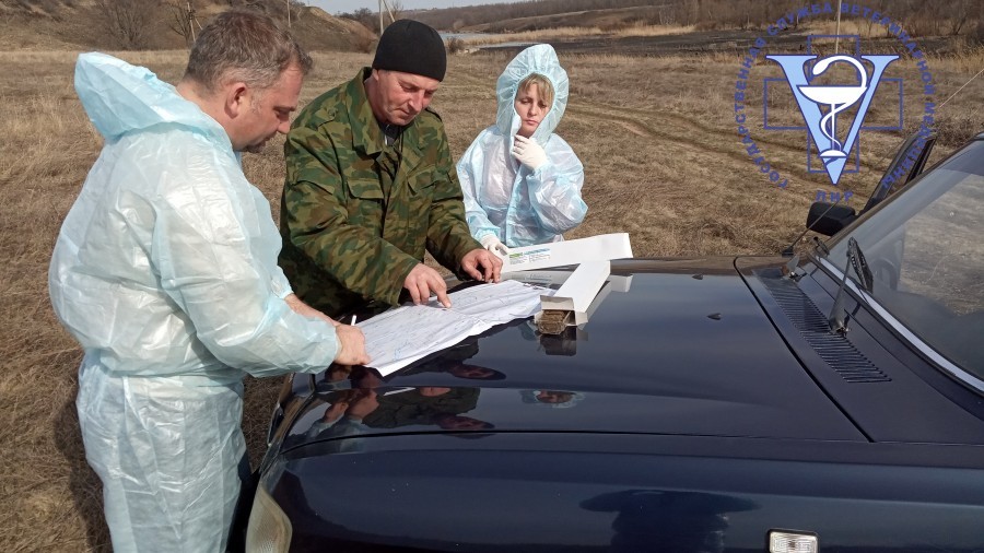 Горячая линия ДНР on Twitter: "#ветеринары #ЛНР разместили в лесах ...