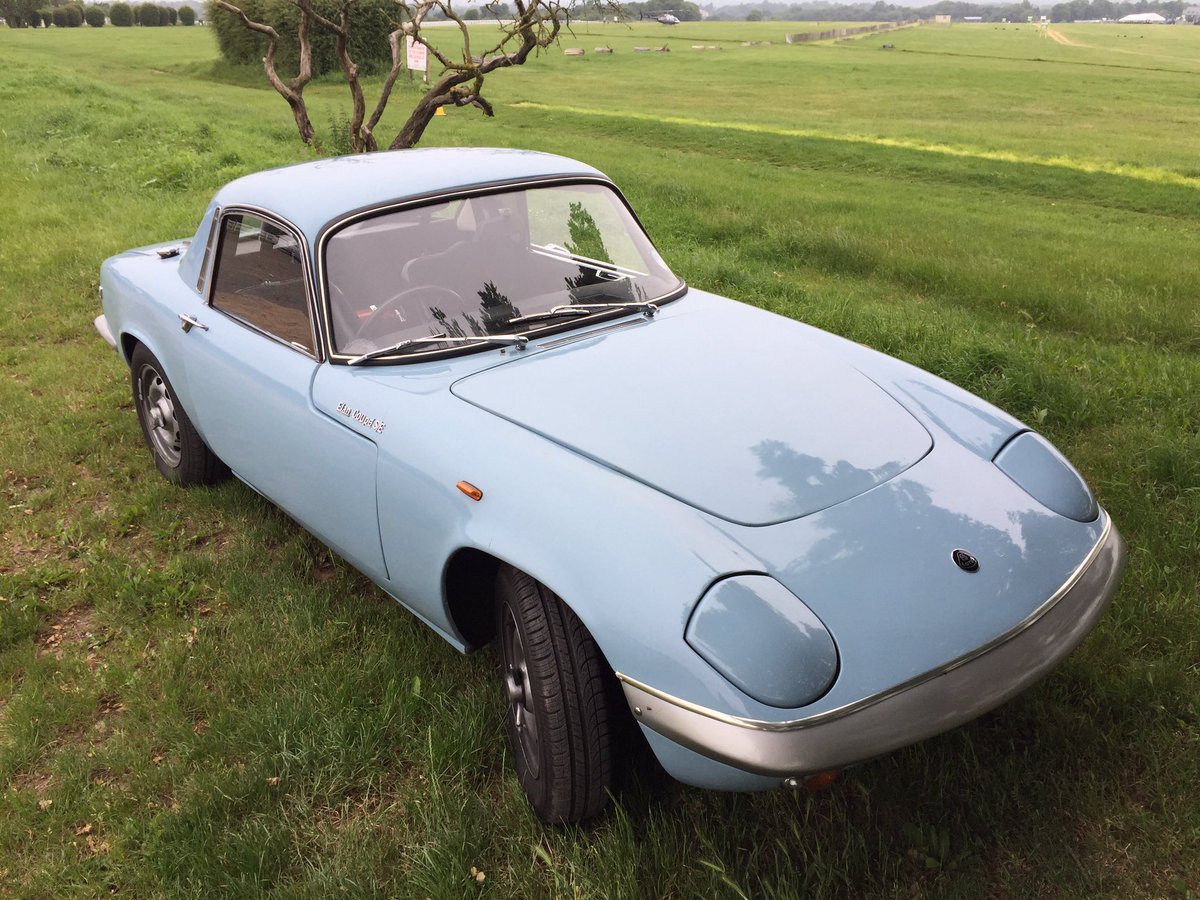 If you are into the colour how about my lotus?